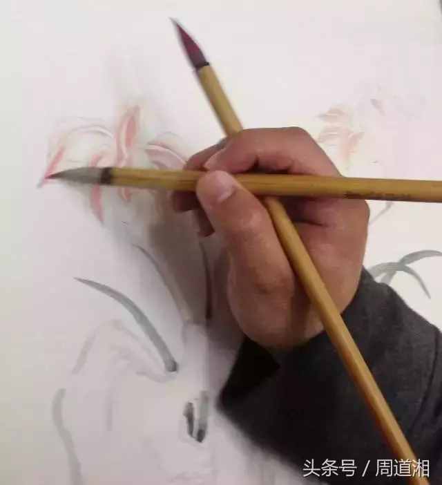 一步步教你畫工筆畫，超級詳細！