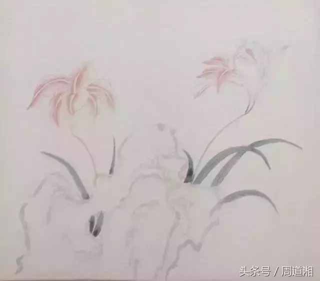 一步步教你畫工筆畫，超級詳細！