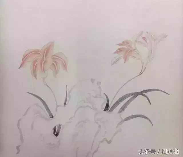 一步步教你畫工筆畫，超級詳細！