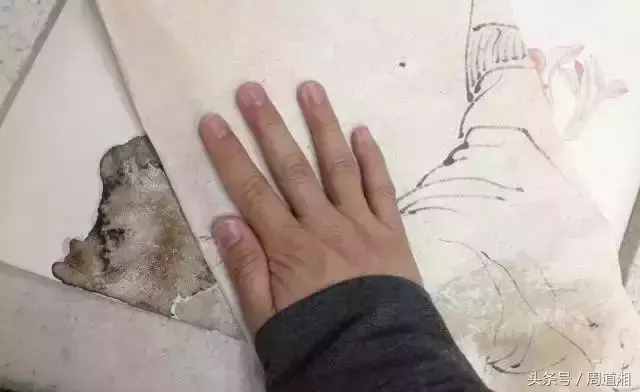 一步步教你畫工筆畫，超級詳細！