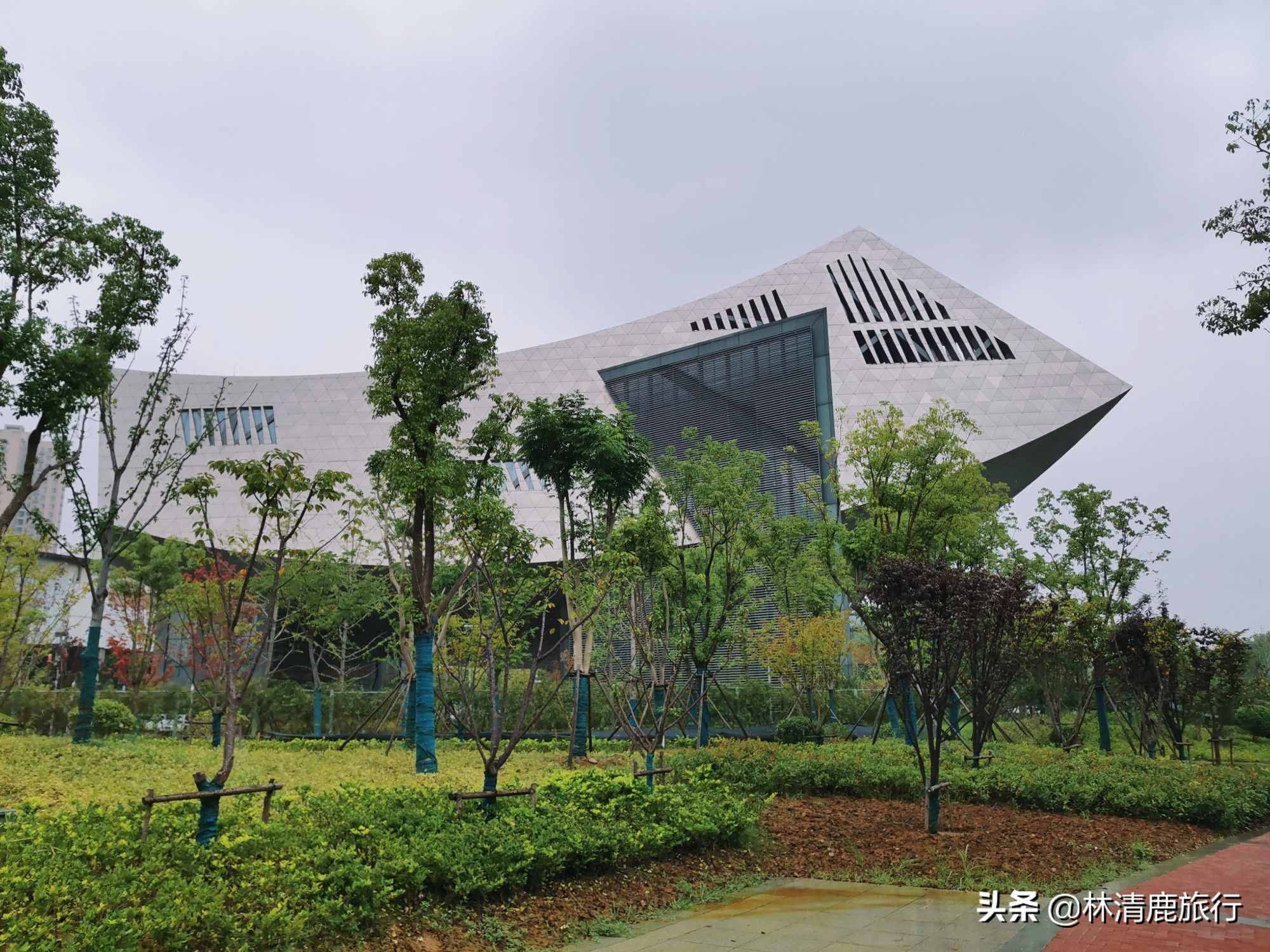 為紀(jì)念張之洞而建的博物館，卻成了美女最愛，記錄著武漢變遷
