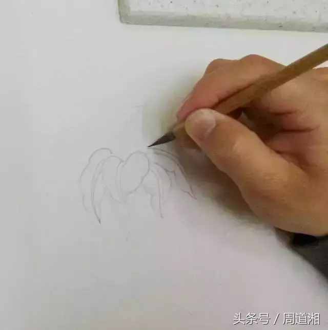 一步步教你畫(huà)工筆畫(huà)，超級(jí)詳細(xì)！