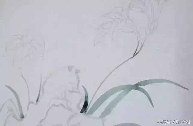 一步步教你畫(huà)工筆畫(huà)，超級(jí)詳細(xì)！