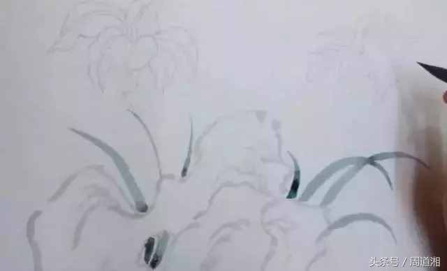一步步教你畫(huà)工筆畫(huà)，超級(jí)詳細(xì)！