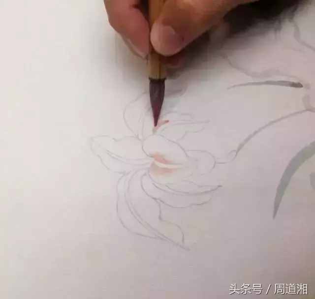 一步步教你畫(huà)工筆畫(huà)，超級(jí)詳細(xì)！