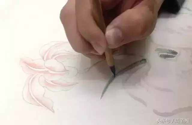 一步步教你畫(huà)工筆畫(huà)，超級(jí)詳細(xì)！