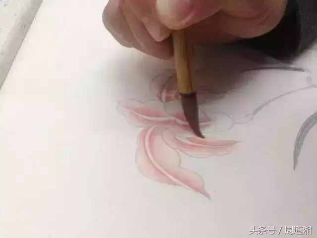 一步步教你畫(huà)工筆畫(huà)，超級(jí)詳細(xì)！