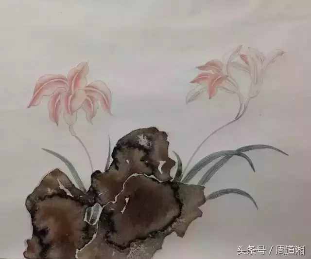 一步步教你畫(huà)工筆畫(huà)，超級(jí)詳細(xì)！