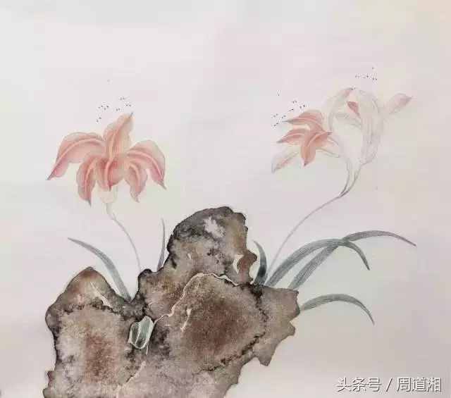 一步步教你畫(huà)工筆畫(huà)，超級(jí)詳細(xì)！