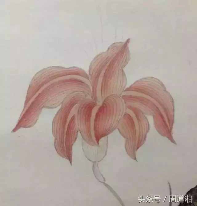 一步步教你畫(huà)工筆畫(huà)，超級(jí)詳細(xì)！
