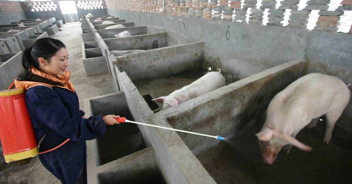 什么是傳染?。克鼈鞑サ年P(guān)鍵三要素是什么？