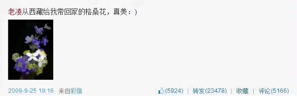 姚晨私照曝光引熱議：曾屢被傳“出軌”的她，到底經歷了什么？