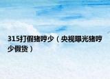 315打假豬哼少（央視曝光豬哼少假貨）