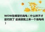 WOW在哪里釣海龜（什么樣子才是釣到了 是直接就上來一個海龜嗎）