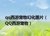 qq西游寵物幻化圖片（QQ西游寵物）