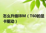 怎么升級(jí)IBM（T60的顯卡驅(qū)動(dòng)）