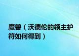 魔獸（沃德倫的領(lǐng)主護符如何得到）