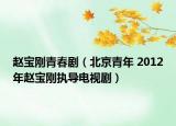 趙寶剛青春?。ū本┣嗄?2012年趙寶剛執(zhí)導(dǎo)電視劇）