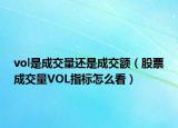 vol是成交量還是成交額（股票成交量VOL指標(biāo)怎么看）