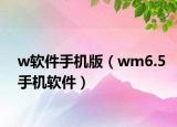 w軟件手機(jī)版（wm6.5手機(jī)軟件）