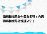 海燕和威馬遜臺(tái)風(fēng)有多強(qiáng)（臺(tái)風(fēng)海燕和威馬遜誰強(qiáng)\