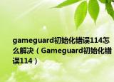 gameguard初始化錯誤114怎么解決（Gameguard初始化錯誤114）