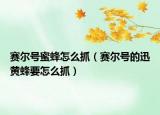 賽爾號(hào)蜜蜂怎么抓（賽爾號(hào)的迅黃蜂要怎么抓）