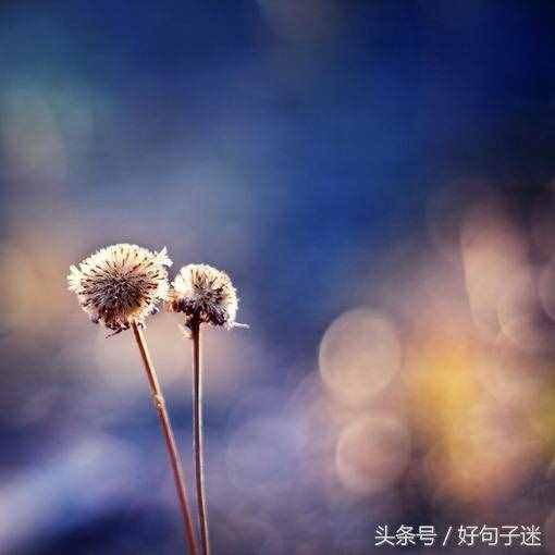 適合發(fā)空間的短句說說心情，個性十足，道不同不相為謀！
