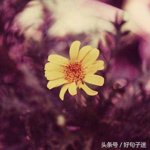 適合發(fā)空間的短句說說心情，個性十足，道不同不相為謀！