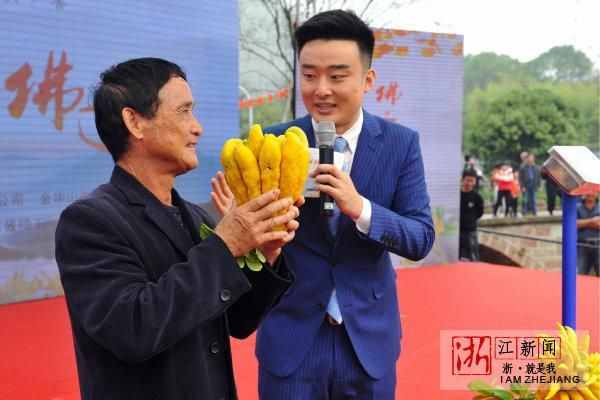 金華：“佛手之鄉(xiāng)”賽佛手 一株賣出一萬元