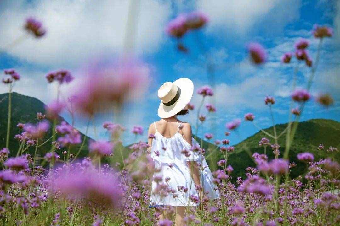 避開人群！重慶周邊6條自駕游線路，人少還景美