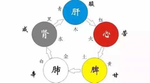 中藥五味子是有5種味道嗎？