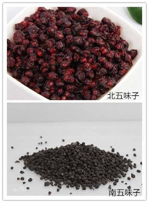 中藥五味子是有5種味道嗎？