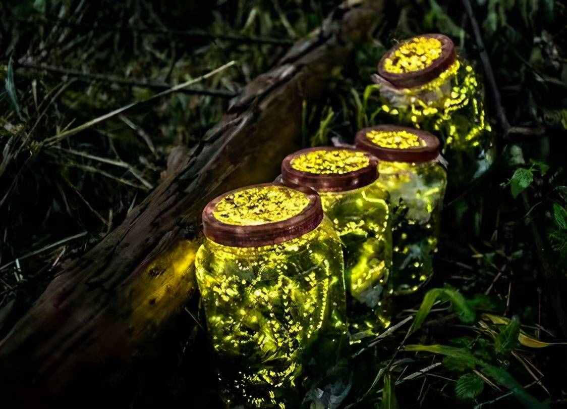 愛的傷害與救贖‖學(xué)會(huì)原諒，原諒他人原諒自己