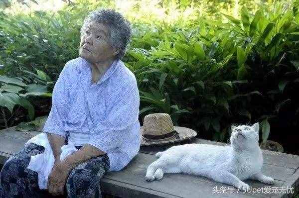 這四個關(guān)于人與動物的故事，你可能聽過，又或許沒有