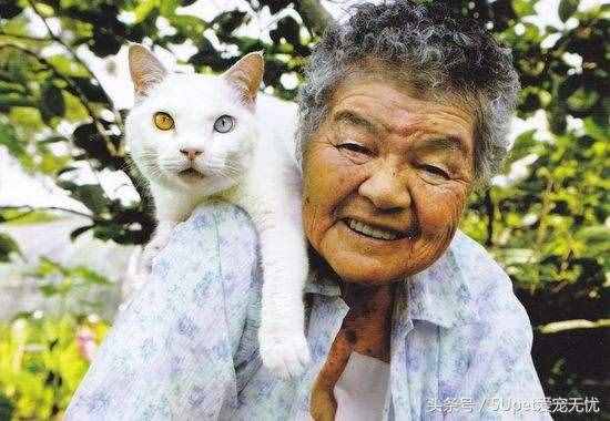 這四個關(guān)于人與動物的故事，你可能聽過，又或許沒有