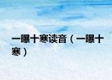 一曝十寒讀音（一曝十寒）