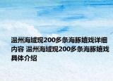 溫州海域現(xiàn)200多條海豚嬉戲詳細(xì)內(nèi)容 溫州海域現(xiàn)200多條海豚嬉戲具體介紹