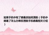 如果手機中有了病毒該如何清除（手機中病毒了怎么辦教你清除手機病毒相關介紹）