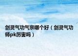 劍靈氣功氣宗哪個好（劍靈氣功師pk厲害嗎）