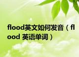 flood英文如何發(fā)音（flood 英語單詞）