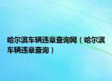 哈爾濱車輛違章查詢網(wǎng)（哈爾濱車輛違章查詢）