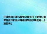 還珠格格爾康與愛情公寓張偉（愛情公寓里的張偉和新還珠格格里的爾康是同一個演員嗎）