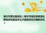 賽爾號索比斯進化（賽爾號現(xiàn)在的阿洛比斯有進化能量怎么不能超進化在哪超進化）