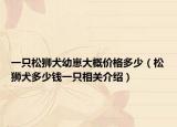 一只松獅犬幼崽大概價(jià)格多少（松獅犬多少錢一只相關(guān)介紹）