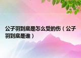 公子羽到底是怎么受的傷（公子羽到底是誰）