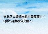 欽北區(qū)大垌鎮(zhèn)米家村委那蓬村（Q幣\Q點(diǎn)怎么充值?）