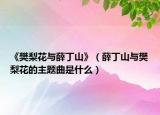 《樊梨花與薛丁山》（薛丁山與樊梨花的主題曲是什么）