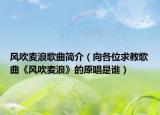 風(fēng)吹麥浪歌曲簡介（向各位求教歌曲《風(fēng)吹麥浪》的原唱是誰）