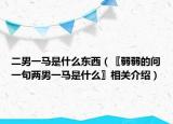 二男一馬是什么東西（〖弱弱的問一句兩男一馬是什么〗相關介紹）
